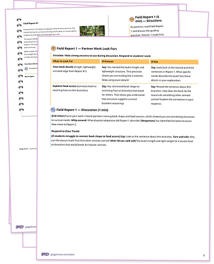 A stack of printed Gogy teacher script pages